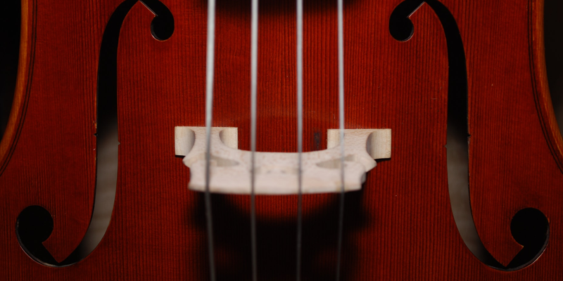 Up-close view of a stringed musical instrument 