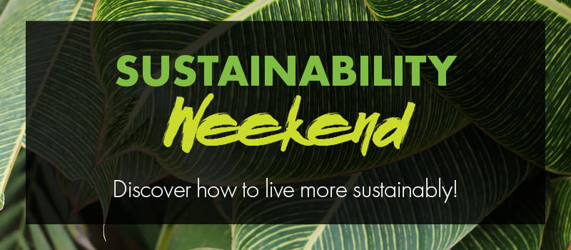 Sustainability Weekend at Arizona Science Center