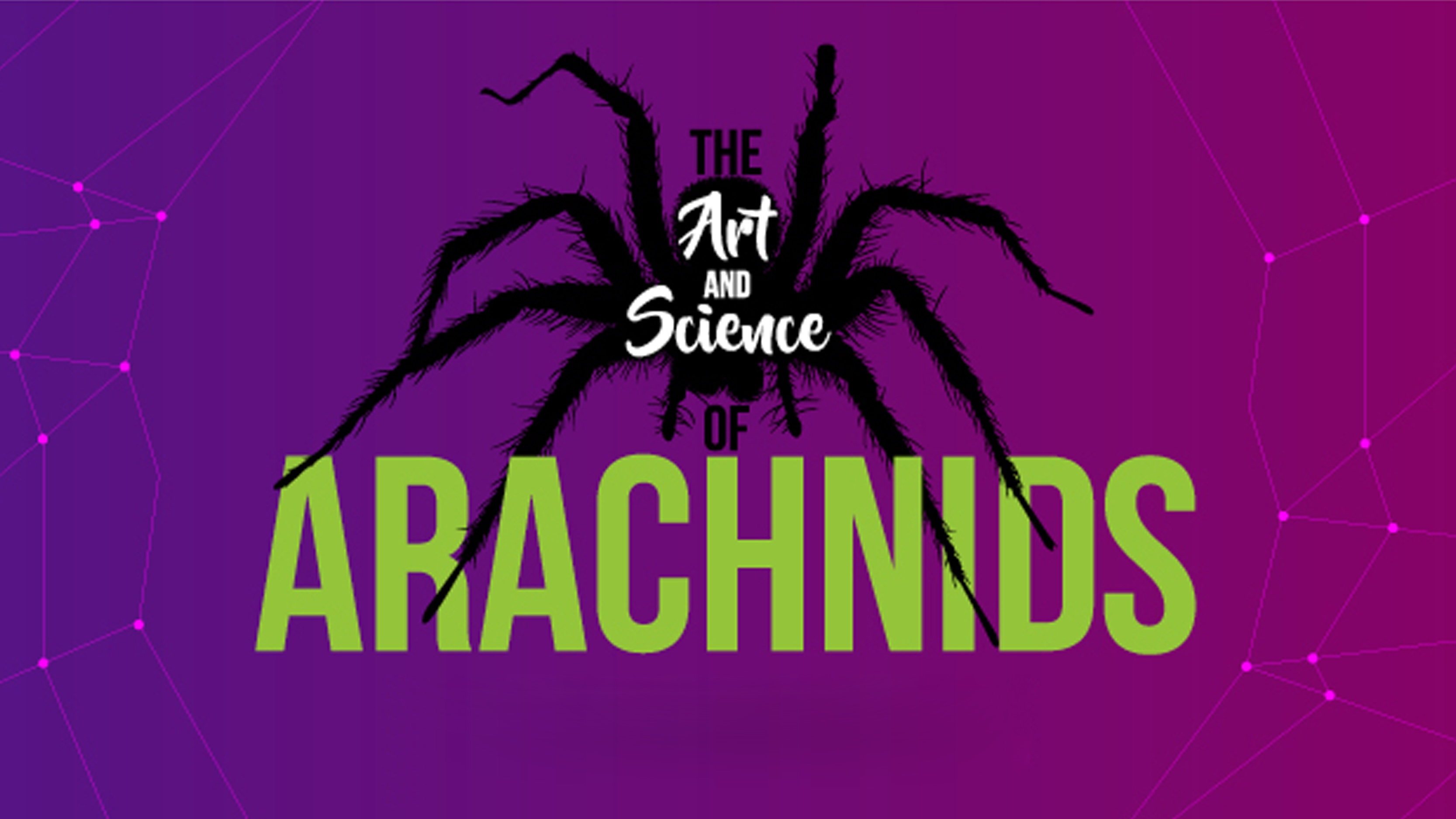 art and science of arachnids past exhibition lp