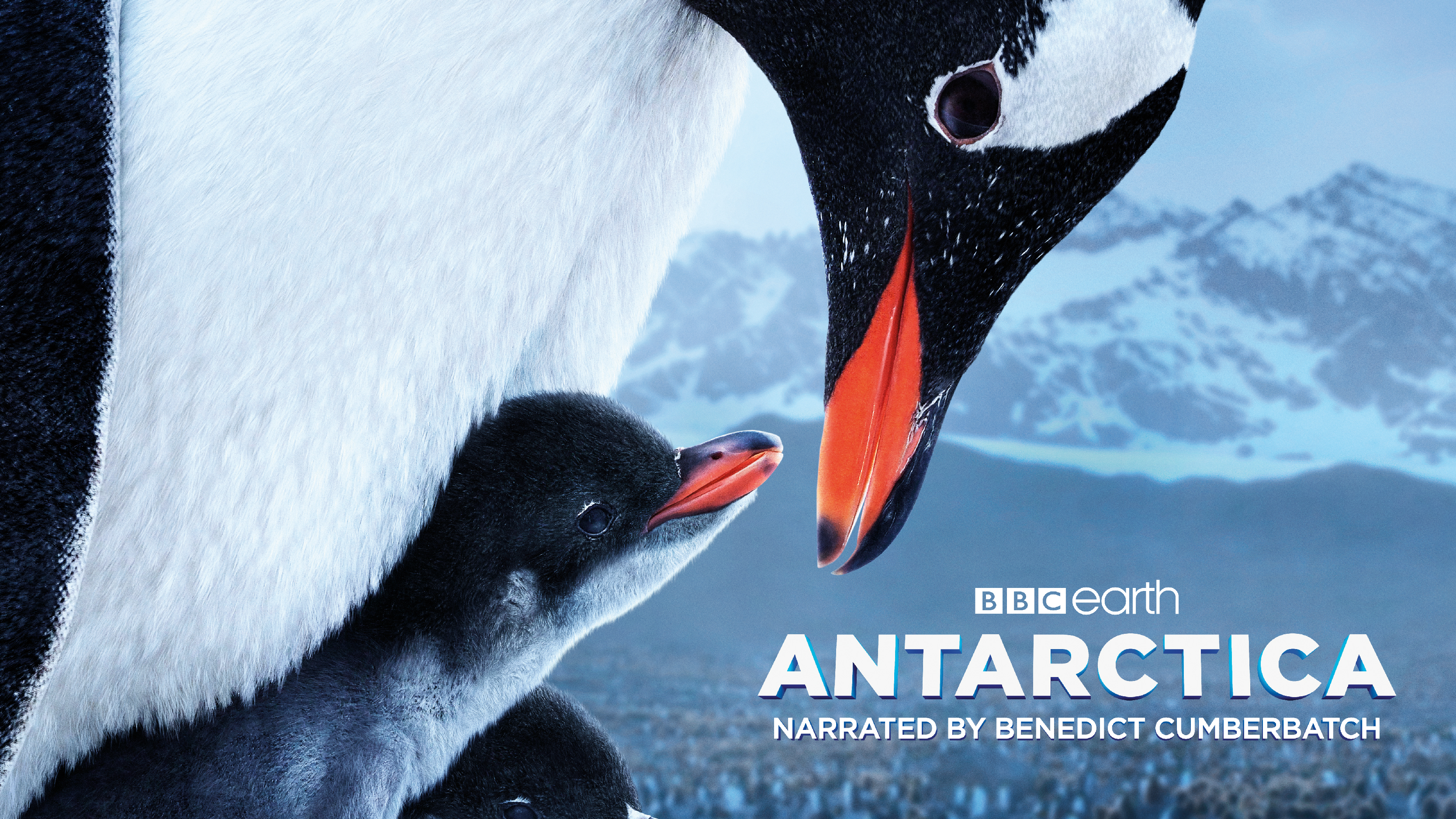 Movie Premiere Antarctica