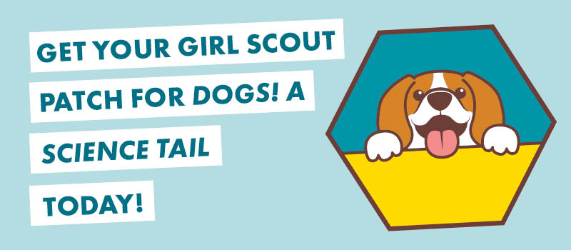 Girl Scout Patch Dogs! A Science Tail