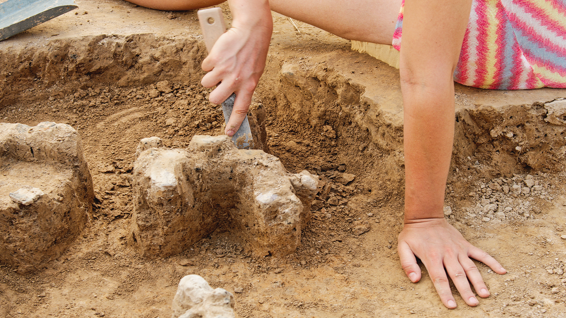 Dig to Discovery Event